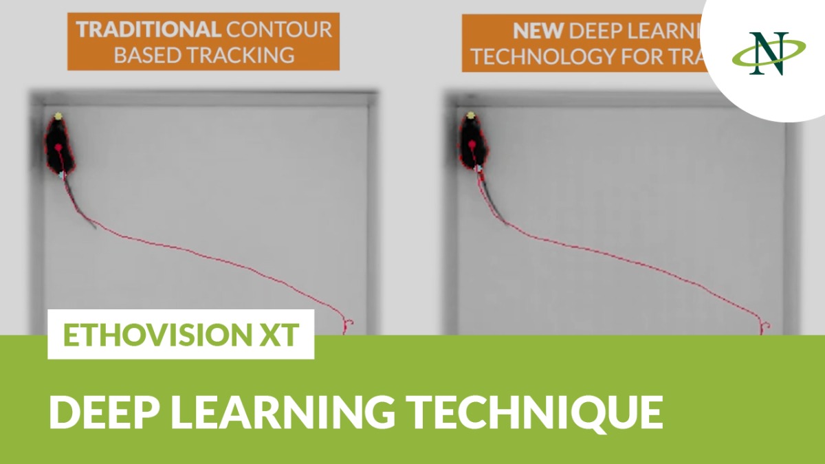 deep learning versus contour video