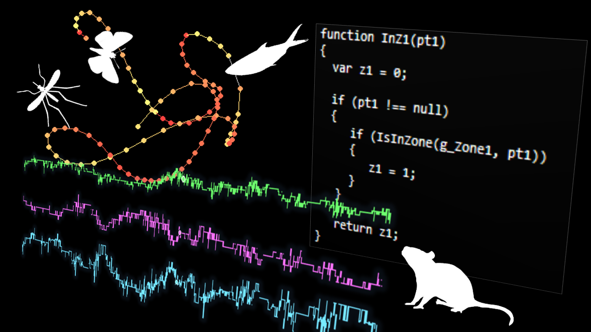 Javascript heatmaps webinar mouse fish