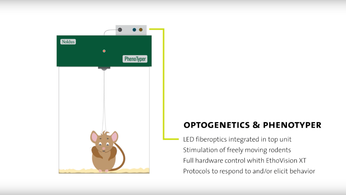 optogenetics phenotyper animation