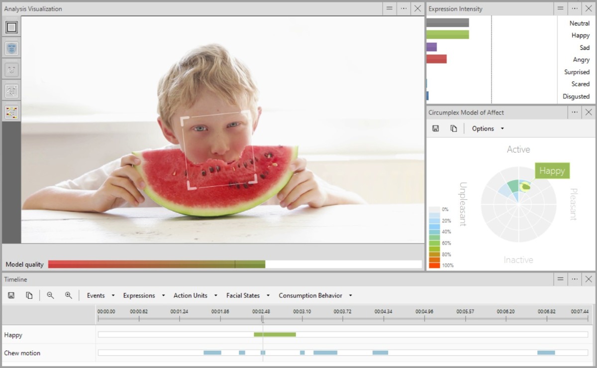 Screenshot FaceReader consumption behavior boy eating melon