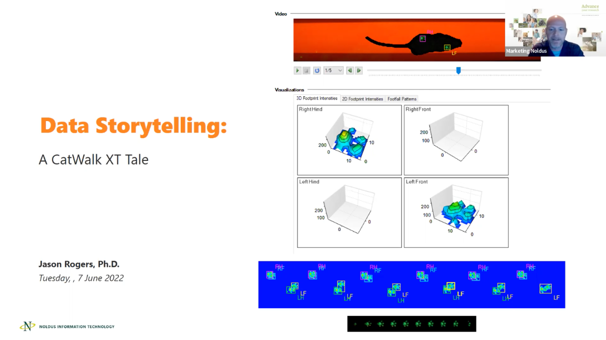 screenshot webinar data storytelling