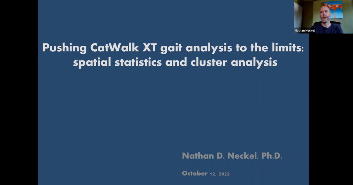 screenshot webinar catwalk nathan neckel