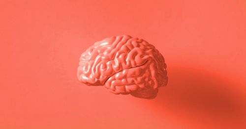 cognitive-neuroscience-emotions