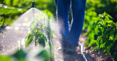 Agricultural pesticides and Parkinson's Disease: current screening procedures