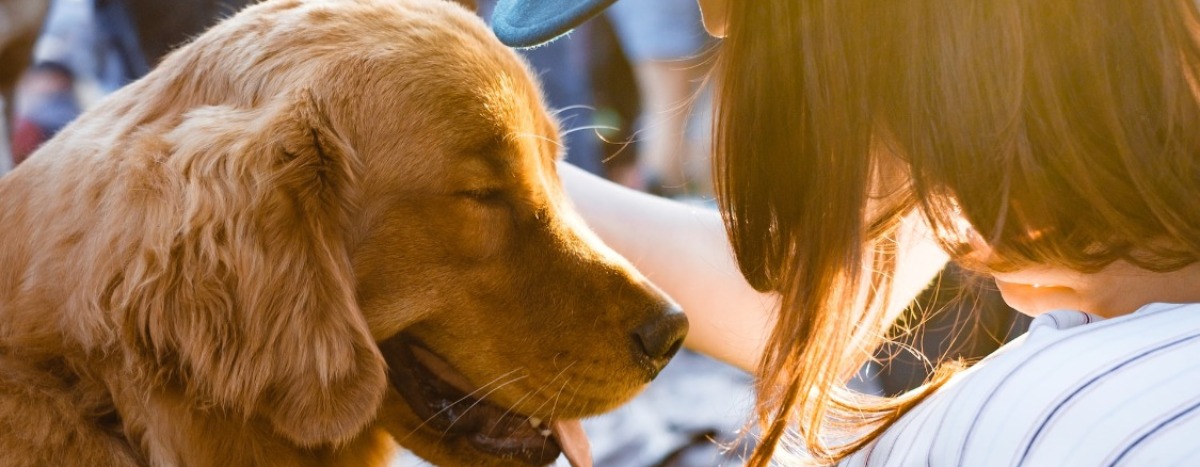 FaceReader useful to improve Animal-Assisted Therapy