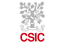 Csic Logo