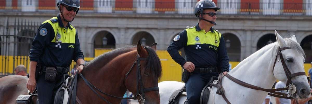 Behavioral tests to select police horses