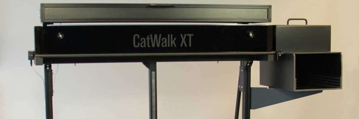 Gait analysis at the PSDL using CatWalk