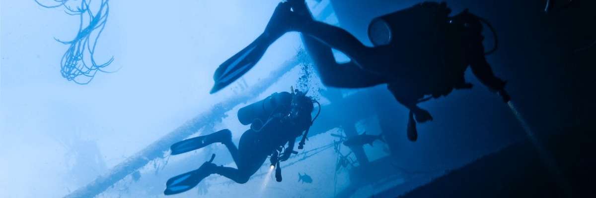 Diver behavior captured with wearable cameras
